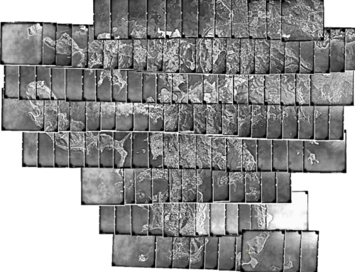 Imagerie aérienne historique