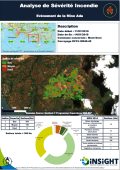 Télédétection /Cartographie des surfaces brûlées